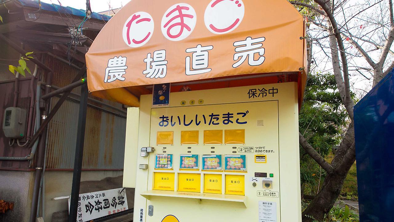 Hotel Matsukaze Toyota  Buitenkant foto